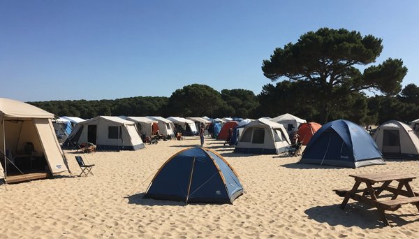 Que faire biscarrosse à deux pas du camping - slow village