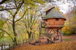 cabane dans les arbres