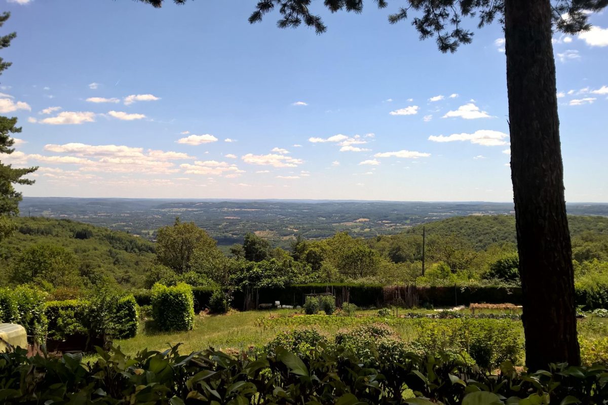 Domaine du Coq Rouge