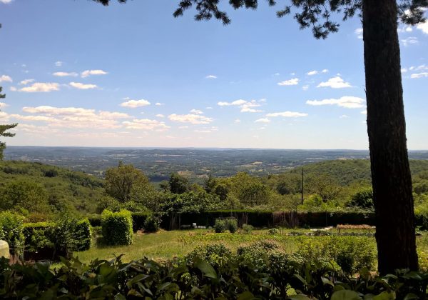 Domaine du Coq Rouge