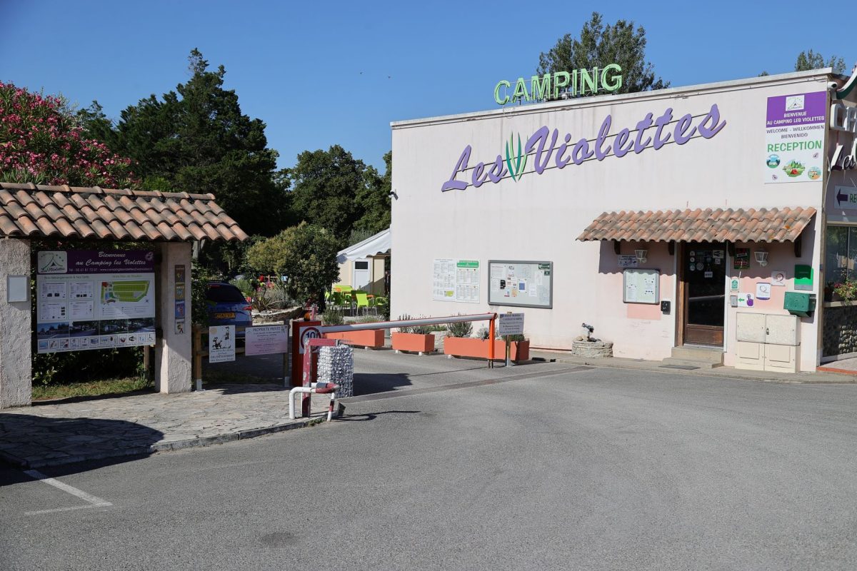 Les Violettes