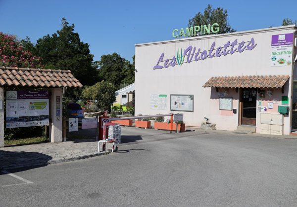 Les Violettes