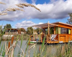 Lodge flottant sur l'étang
